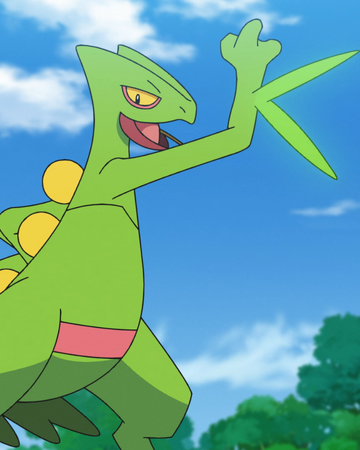 Ash S Sceptile Pokemon Wiki Fandom