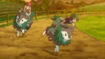 Grace temporarily used a Skiddo in a race against Serena.