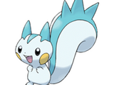 Pachirisu