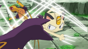 Meowth fights against Liepard