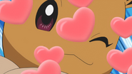 Baby-Doll Eyes being used by Ilima's Eevee.