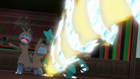 SM118 21.png