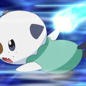 Ash S Oshawott Pokemon Wiki Fandom