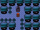 Ilex Forest shrine