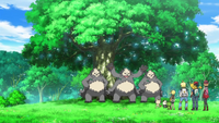 XY074 19.png