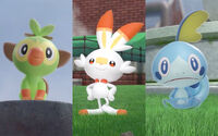 Pokemon-Sword-and-Shield-starters