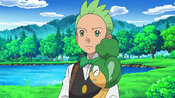 Cilan sees Gyarados swim away