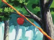 Houndoom uses Flamethrower to get the apple down