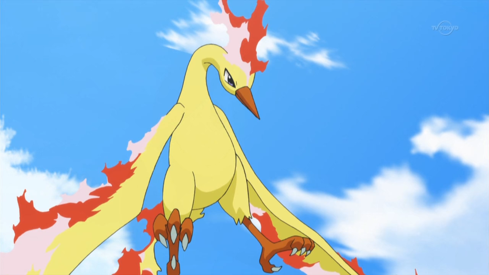 Moltres, Pokémon Special Wikia