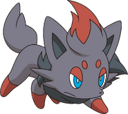 Zorua-Anime