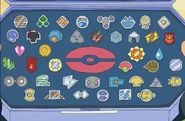 Badges from Ash's dream in DP043, it is possible some of them don't actually exist and are just figments of Ash's imagination