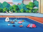 Corsola hangs out with the Water Pokémon