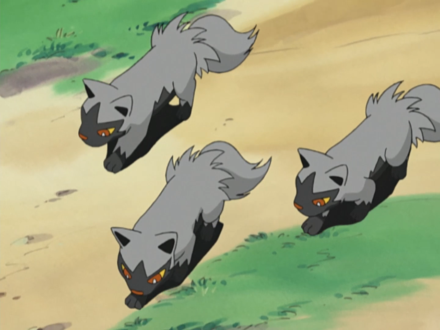 Old Man Obee S Poochyena Pokemon Wiki Fandom