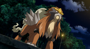 Shiny Entei