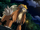 Entei (MS013)