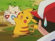 Pikachu does not want to attack Togepi