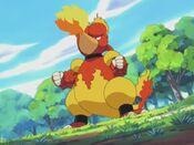 Magby evolved into Magmar