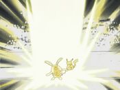 Pikachu defeats Azumarill with Thunder