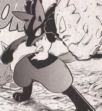 Riley S Lucario Dpa Pokemon Wiki Fandom