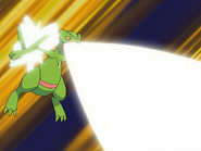 Tyson Sceptile Solar Beam