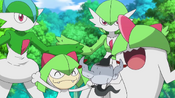 Team Rocket disguised as Ralts, Kirlia, Gardevoir and Gallade