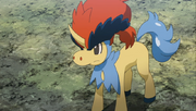 Keldeo anime