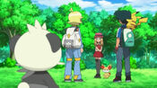 Serena wishes Pancham to join her