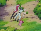 Snubbull and Team Rocket fall asleep