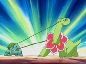 Bulbasaur and Meganium use Vine Whip at each other