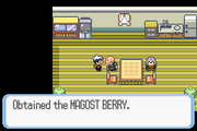 Getting magost berry