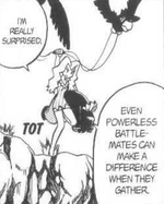 Karen's two Murkrow were used primarily by Karen to leave with an unconscious Will after the battle had ended.