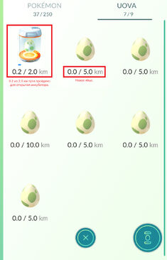 Eggs menu