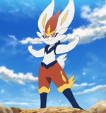 Goh first met Scorbunny when it was living a thief's life with a group of Nickit in Wyndon. It eventually started to follow him around after Goh defended it as though it was his own. It essentially caught itself by using the Poké Ball Goh failed to hit it with the first time, making it his first Pokémon.