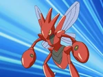Katie's Scizor was the fifth Pokémon used in the Hoenn League Ever Grande Conference. It battled against Ash's Swellow and proved to be very powerful using a combination of Double Team and Metal Claw. Eventually it lost to Swellow's super effective Aerial Ace.