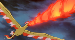 Red's Moltres, Pokémon Wiki