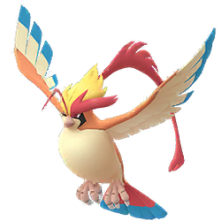 Pidgeot, Pokémon GO Wiki