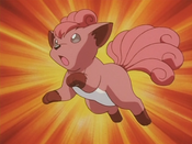 Suzy Vulpix