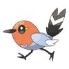 0661Fletchling