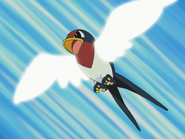 Ash Taillow Wing Attack