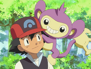 Ash and Aipom