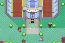 Hallowed Tower, Pokémon Wiki