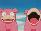 Slowpoke yawn