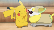 Pikachu meeting his friend Yamper for the first time