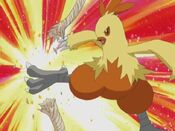 Combusken cuts the rope