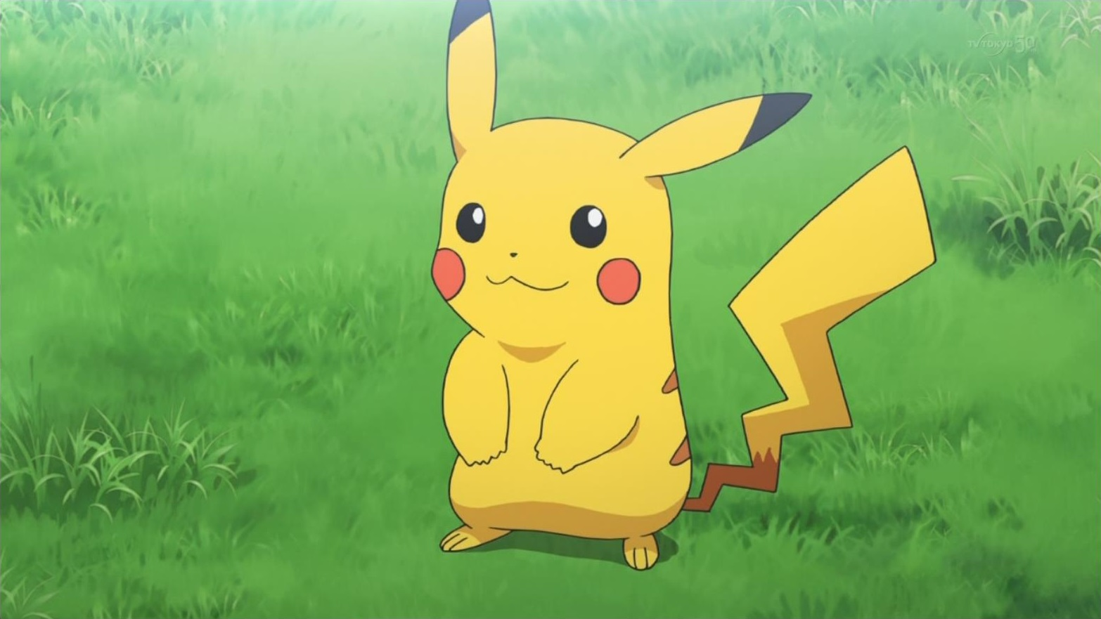 Red's Pikachu | Pokémon Wiki | Fandom