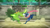 Greninja battles Sceptile