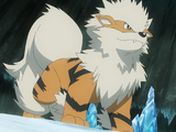 Gary's Arcanine (anime)