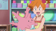 Misty and Corsola