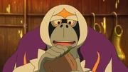 Oranguru in the anime.