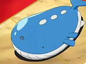 A "Wailord" appears